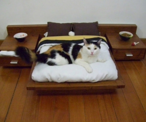 designový nábytek pro kočky