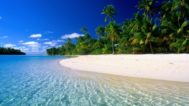 průzračné moře s písečnou pláží a palmami