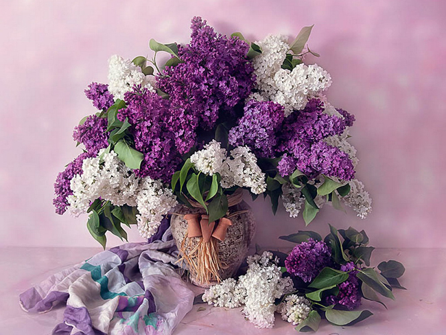 fialovo laděná váza s bílým a fialovým šeříkem