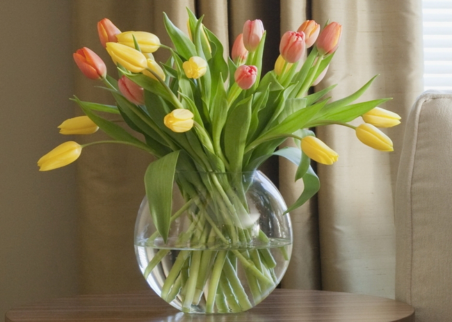 kulatá váza se žlutými a červenými tulipány