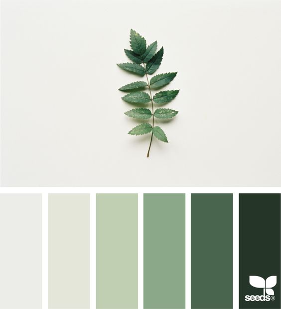Zelená barva - odstíny