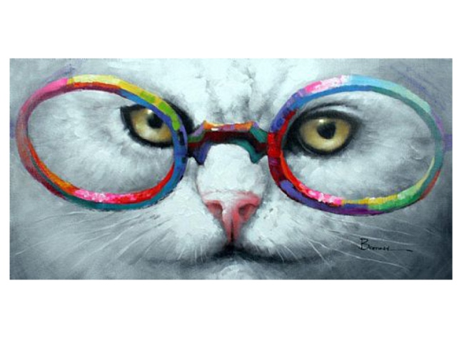 Obraz kočka s brýlemi
