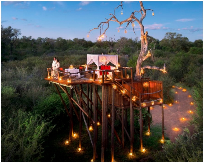 tree-house-hotel-afrika